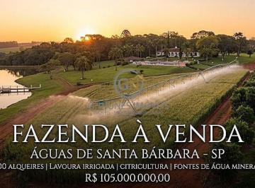 Complexo agrícola de altíssima produtividade com 300 alqueires em Águas de Santa Bárbara - SP. Infraestrutura completa que une lavoura irrigada por pivô central, citricultura de ponta, riqueza hídrica e sede de alto padrão. · Fazenda à Venda em Águas de Santa Bárbara SP | 300 Alq