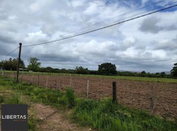 Rural · 1000ha · Sítio na Avenida Juca Batista.