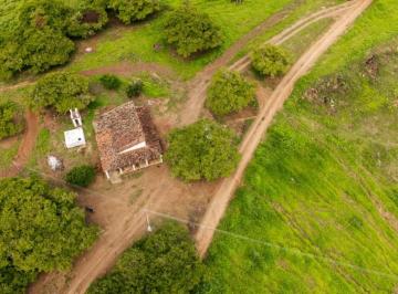 202607062009198079.jpg · Fazenda para Venda em Mogeiro, zona rural, 1 dormitório, 1 suíte, 1 banheiro, 1 vaga