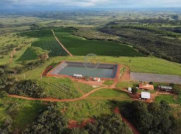 Segurança hídrica absoluta: impressionante piscinão com capacidade para 50 milhões de m³, garantindo irrigação de alta performance o ano todo. · Fazenda de Café e Pecuária à Venda em Presidente Olegário