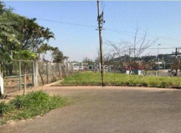 Captura_de_tela_2026-07-06_233404_cleanup.png · Terreno, 20000 m², em Vila Jaguara