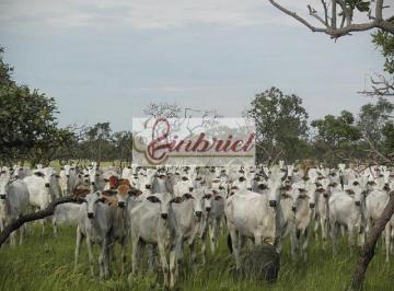 Imagem 1 · Fazenda
