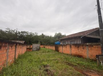 Foto 07 · Terreno, Rocio Grande, São Francisco do Sul, SC