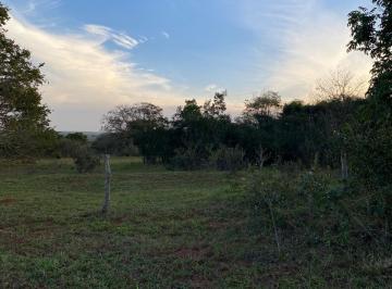 Rural , Brasilândia · Sítio na rodovia Brasilândia-MS a Bataguassu.