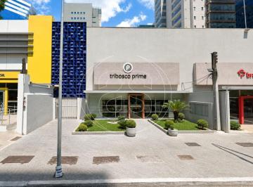 Comercial · 324m² · LOJA COMERCIAL | 324M² DE ÁREA ÚTIL | 637,50M² DE TERRENO | 12,75M DE FRENTE
