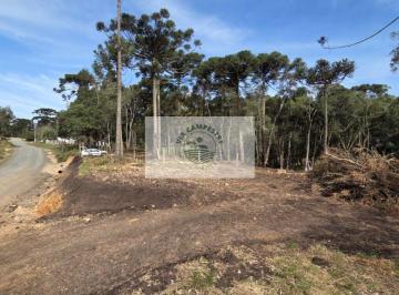 Rural · 2500m² · 1 Quarto · 1 Vaga · Terreno para sítio em Campo Alegre, escriturado, area urbana, pode ser financiado