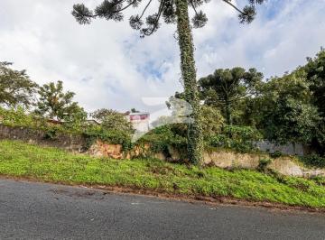 IMG_7265.jpg · Terreno Sao Joao 695m²