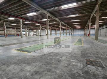17803cdddafcdb822f337eedb3c3d1e0122e8ec5 · Galpão para alugar, 9800 m² por R$ 392.000,00/mês - Cooperativa - São Bernardo do Campo/SP