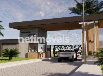 fd5ff419-7b4a-40c8-b974-c873a4e9734a.webp · Oportunidade Lote SMPW 04, condominio alto padrão, infra toda nova