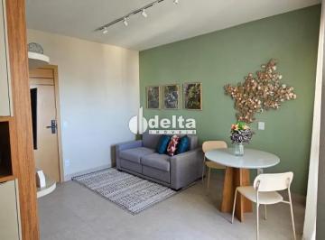 Apartamento · 35m² · 1 Quarto · 1 Vaga · Apartamento com 1 quarto disponível para venda no bairro Santa Mônica em Uberlândia-MG