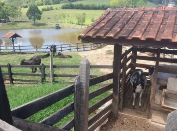 Rural de 4 quartos, São Lourenço · SÍTIO DOS SONHOS À VENDA — OPORTUNIDADE RARA EM SÃO LOURENÇO/MINAS