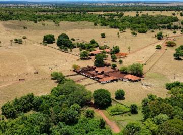Imagem 1 · Fazenda