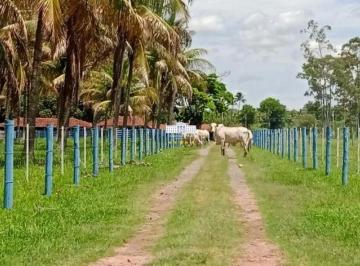 Imagem 1 · Sítio para venda em Chácaras Califórnia, Araçatuba