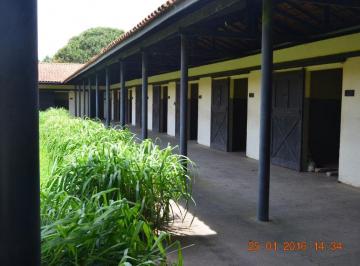 Rural de 3 quartos, São José dos Pinhais · HARAS EM SÃO JOSÉ DOS PINHAIS