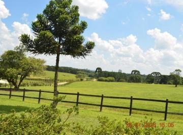 Rural de 3 quartos, São José dos Pinhais · HARAS EM SÃO JOSÉ DOS PINHAIS