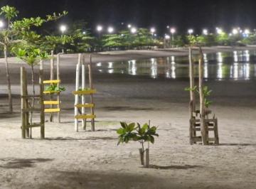 202604082215102032.jpg · Apartamento para Locação em Ubatuba, Perequê Açu, 3 dormitórios, 1 suíte, 2 banheiros, 2 vagas