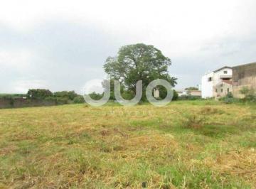 Terreno · 5000m² · Terreno para alugar, 5000 m² por R$ 6.000,00/mês - Nossa Senhora de Fátima - Piracicaba/SP