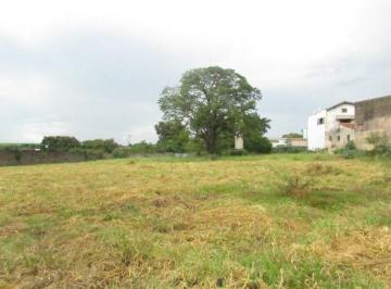 Terreno · 5000m² · Terreno para alugar, 5000 m² por R$ 6.000,00/mês - Nossa Senhora de Fátima - Piracicaba/SP
