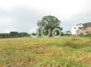 Terreno · 5000m² · Terreno para alugar, 5000 m² por R$ 6.000,00/mês - Nossa Senhora de Fátima - Piracicaba/SP