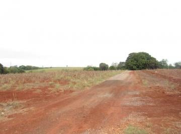 Terreno · 24200m² · Área para alugar, 24200 m² por R$ 5.000,01/mês - Vila Nova - Piracicaba/SP