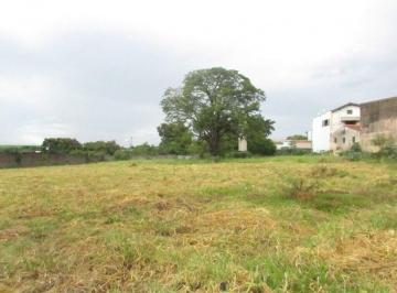 Terreno · 6364m² · Terreno para alugar, 6364 m² por R$ 7.200,00/mês - Nossa Senhora de Fátima - Piracicaba/SP