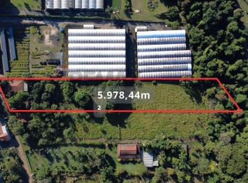 Rural · 5978m² · 1 Quarto · 4 Vagas · Chácara à venda no Bairro Palmeirinha em Holambra SP com 5.978 m²
