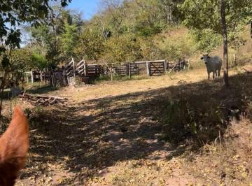 Foto 05 · Fazenda, Zona Rural, São João D'aliança, GO