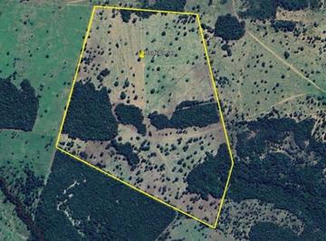 Área Rural 74 ha - Cariri do Tocantins-TO - Fazenda Santo Antônio - Gleba 05 - Zona Rural - Foto [0] · Área Rural 74 ha - Cariri do Tocantins-TO - Fazenda Santo Antônio - Gleba 05 - Zona Rural