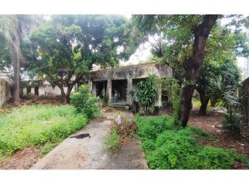 Terreno · 1920m² · 4 Quartos · Terreno com 1.920 m² à venda em Casa Caiada, próximo ao Shopping Patteo