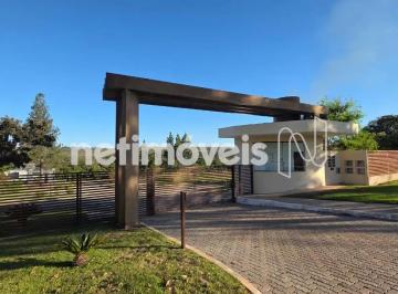 c7ee616e-4d2e-4a44-9468-eda0811690e0.webp · Terreno SMPW 17 conjunto 15. condodominio e infraestrutura novos.
