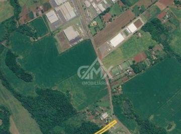 bae82483939179c23a135909dff8a061807af2d4 · Chácara com 3 dormitórios à venda, 10278 m² por R$ 1.410.000,00 - Padre Rino Nogarotto - Ibiporã/PR