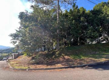 c51e694cd40bd9d7fe8599a0ba447b7d18076bbb · Terreno à venda, 980 m² por R$ 1.060.000,00 - Centro - Pomerode/SC