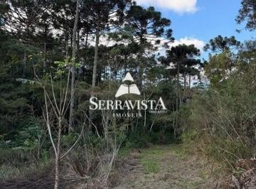 Rural · 34500m² · Terreno para chácara com araucárias - 34.500 m2