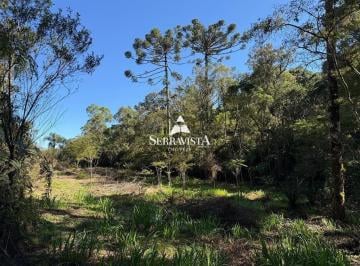 Rural · 34500m² · Terreno para chácara com araucárias - 34.500 m2