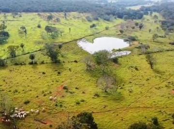 Imagem 1 · Fazenda