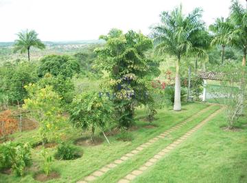 Imagem 1 · Fazenda