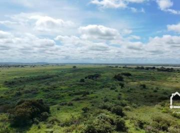 Imagem 1 · Fazenda