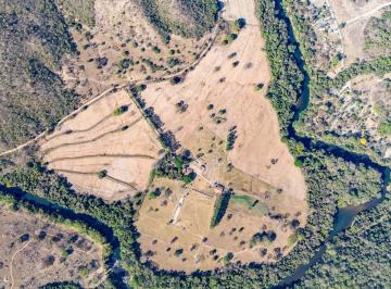 Rural · 114ha · 7 Quartos · 10 Vagas · Fazenda com 113 hectares à venda em Heitoraí a 140 km de Goiânia por R$ 3.500.00