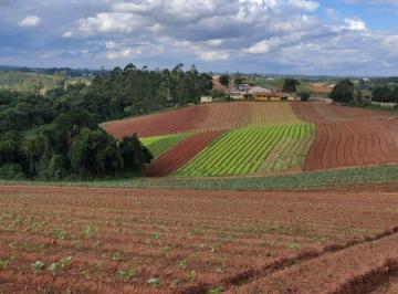 Rural , Ibiúna · ÁREA RURAL EM IBIÚNA 61.000 METROS 90% LIMPO COM PLANTAÇÃO