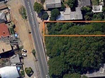 Terreno · 500m² · Terreno para VENDA na Vicente Monteggia bairro Vila Nova, zona sul de Porto Aleg