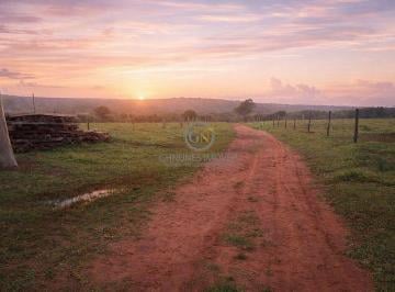 Excelentes estradas internas que garantem tráfego o ano todo e escoamento rápido a apenas 4 km da BR-364. · Fazenda à Venda em Comendador Gomes - MG | 1.776 Hectares