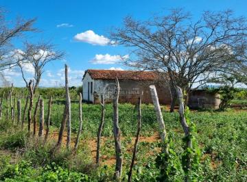 Rural · 463000m² · Fazenda com 463 Hectares/ 1.060,27 Tarefas à Venda em Euclides da Cunha/BA