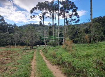 Rural · 330000m² · Rurais à venda - em Liberdade