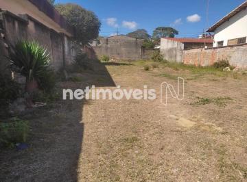 b80ee591-0245-4573-9883-b57e8cfec0cc.webp · Terreno de 360m² à venda no bairro Esplanada