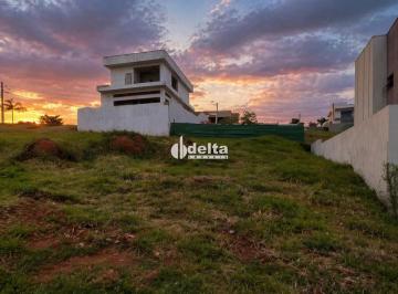 Terreno · 311m² · Terreno disponível para venda no bairro Granja Marileusa em Uberlândia-MG