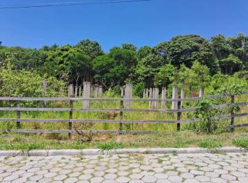 20260414124744415.jpeg · Terreno para Venda em Florianópolis, São João do Rio Vermelho