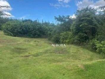 a16b071a98dc6bf900d8a5b25d8d166295a23ec0 · Terreno à venda, 1500 m² por R$ 430.000,00 - Ecovillas do Lago - Sertanópolis/PR