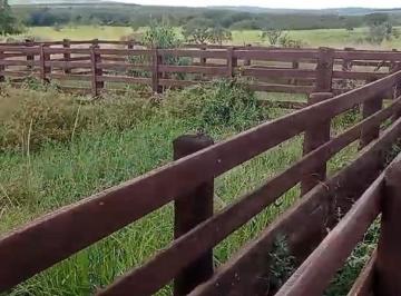 Imagem 1 · Fazenda