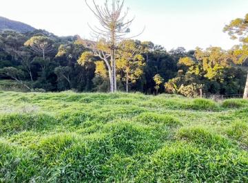 20260710095106983.jpg · Terreno para Venda em Toledo