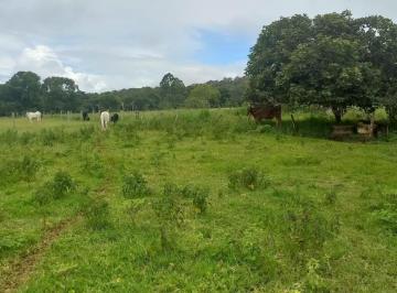 202607101209073341.jpg · Chácara para Venda em Brasília, Setor de Hotéis e Diversões (Planaltina), 3 dormitórios, 1 suíte, 3 